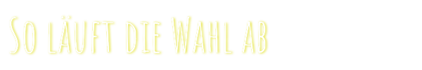 Ablauf der Wahl Ablauf der Wahl