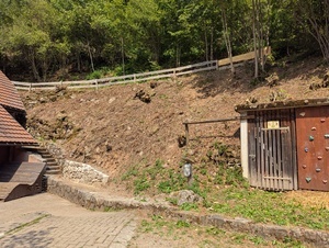 Blick auf den teilweise abgerutschten Osthang des Wolfhofs